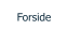 Forside